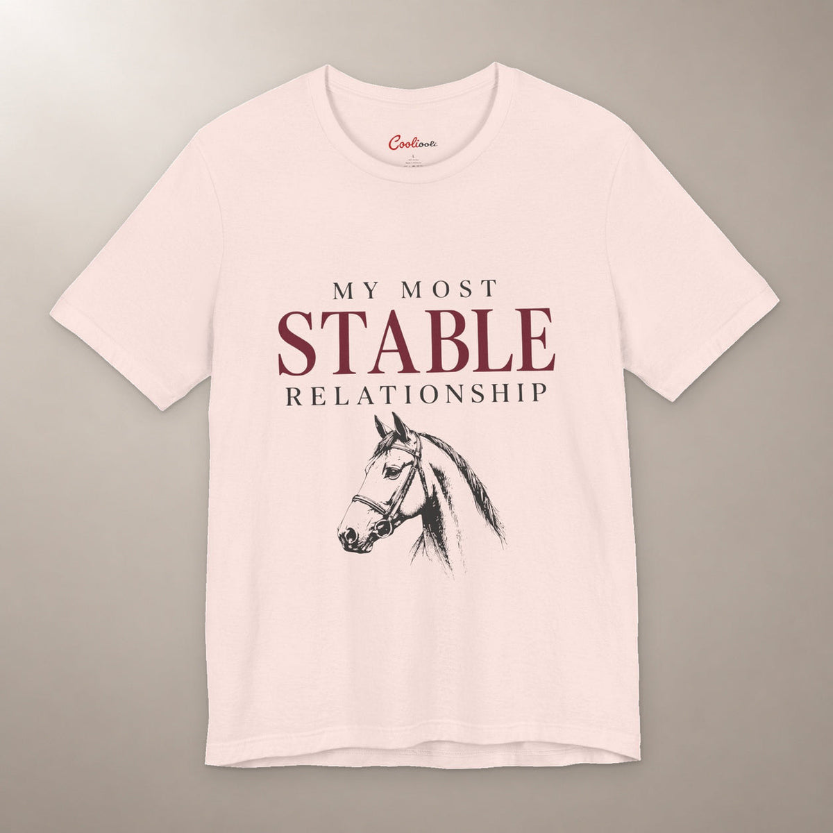 Finally, Someone Dependable. Bella+Canvas 3001 tee in soft pink, flat lay with My Most Stable Relationship lettering and a bridled horse on a plain warm neutral background.