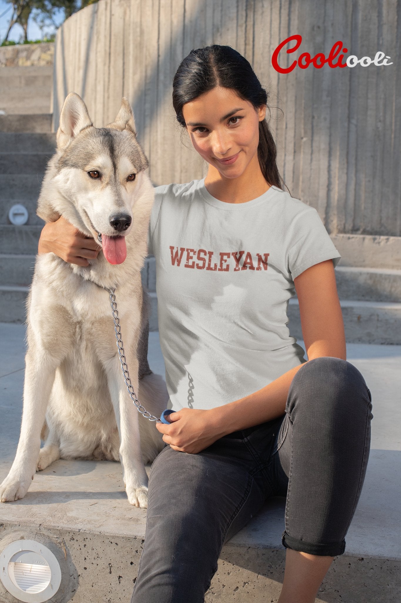 "How I Met Your Mother" Wesleyan University Tee - Cooliooli T-Shirt